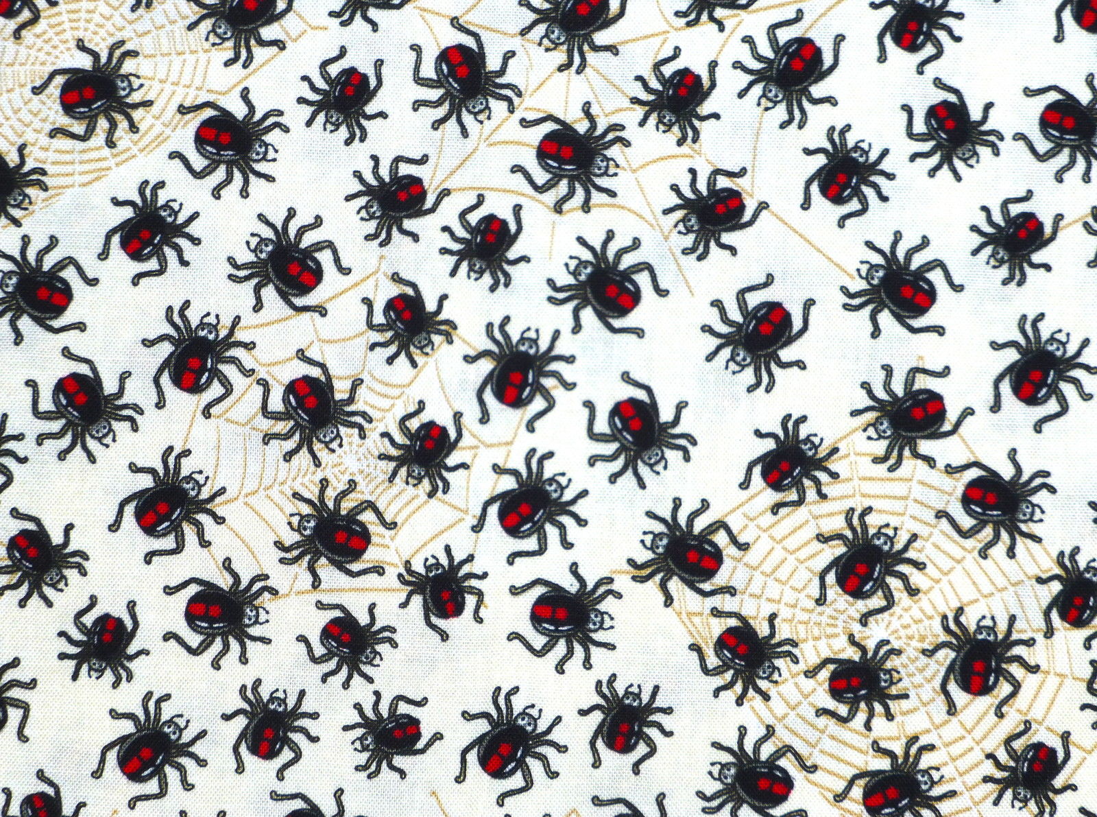 Down Under Red Back Spiders on CREAM Background redback spider - Click Image to Close
